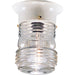 Myhouse Lighting Progress Lighting - P5603-30 - One Light Outdoor Flush Mount - Utility Lantern - White