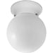 Myhouse Lighting Progress Lighting - P3605-30 - One Light Flush Mount - Globe - Opal - White