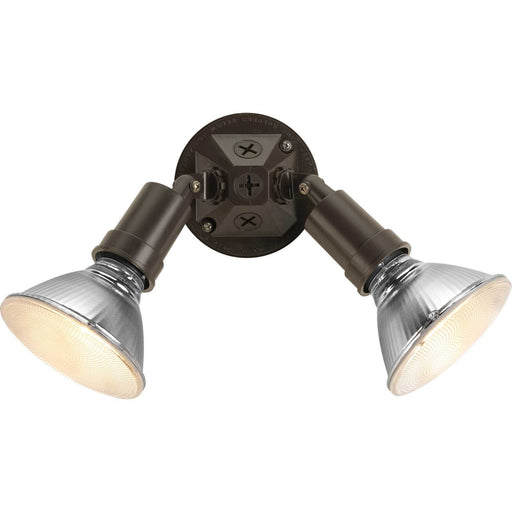 Myhouse Lighting Progress Lighting - P5212-20 - Two Light Adjustable Swivel Flood Light - Par Lampholder - Antique Bronze