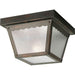 Myhouse Lighting Progress Lighting - P5727-20 - One Light Outdoor Flush Mount - Ceiling Mount - Antique Bronze