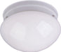 Myhouse Lighting Maxim - 5881WTWT - Two Light Flush Mount - Essentials - 588x - White