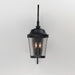 Myhouse Lighting Maxim - 40095CDBZ - Three Light Outdoor Wall Lantern - Dover VX - Bronze