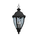 Myhouse Lighting Maxim - 40291WGET - Three Light Outdoor Hanging Lantern - Morrow Bay VX - Earth Tone