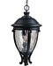 Myhouse Lighting Maxim - 41429WGBK - Three Light Outdoor Hanging Lantern - Camden VX - Black