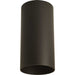 Myhouse Lighting Progress Lighting - P5741-20 - One Light Outdoor Ceiling Mount - Cylinder - Antique Bronze