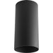 Myhouse Lighting Progress Lighting - P5741-31 - One Light Outdoor Ceiling Mount - Cylinder - Black