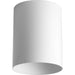 Myhouse Lighting Progress Lighting - P5774-30 - One Light Outdoor Ceiling Mount - Cylinder - White