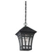 Myhouse Lighting Generation Lighting - 60131-12 - One Light Outdoor Pendant - Herrington - Black