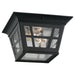 Myhouse Lighting Generation Lighting - 78131-12 - Two Light Outdoor Flush Mount - Herrington - Black