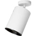 Myhouse Lighting Progress Lighting - P6397-30 - One Light Wall/Ceiling Heat Lamp - Directional - White