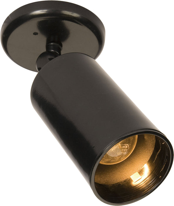 Myhouse Lighting Maxim - 92010BK - One Light Flush Mount - Spots - Black