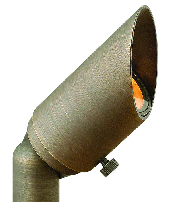 Myhouse Lighting Hinkley - 16501MZ - LED Landscape Spot - Hardy Island Accent Spot Light - Matte Bronze