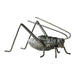 Myhouse Lighting Cyan - 04351 - Sculpture - Cricket - Raw Steel