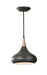 Myhouse Lighting Generation Lighting - P1253DBZ - One Light Pendant - Belle - Dark Bronze