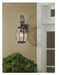 Myhouse Lighting Quoizel - OAS8408Z - Two Light Outdoor Wall Lantern - Oasis - Medici Bronze