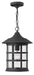 Myhouse Lighting Hinkley - 1802BK - LED Hanging Lantern - Freeport - Black