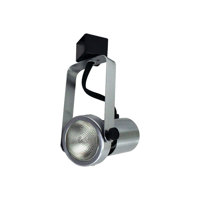 Myhouse Lighting Nora Lighting - NTH-112N - Gimbal Par20 Natural - Track Inc Line Voltage - Natural Metal