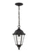 Myhouse Lighting Generation Lighting - 60938-12 - One Light Outdoor Pendant - Bakersville - Black