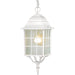 Myhouse Lighting Nuvo Lighting - 60-4911 - One Light Hanging Lantern - Adams - White