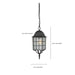 Myhouse Lighting Nuvo Lighting - 60-4913 - One Light Hanging Lantern - Adams - Textured Black