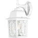 Myhouse Lighting Nuvo Lighting - 60-4921 - One Light Wall Lantern - Banyan - White