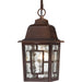 Myhouse Lighting Nuvo Lighting - 60-4932 - One Light Hanging Lantern - Banyan - Rustic Bronze