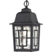 Myhouse Lighting Nuvo Lighting - 60-4933 - One Light Hanging Lantern - Banyan - Textured Black