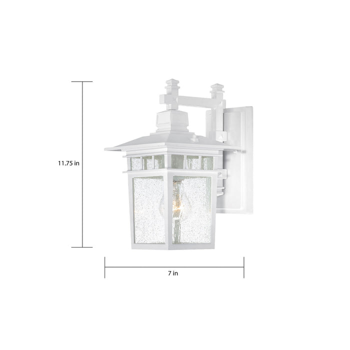 Myhouse Lighting Nuvo Lighting - 60-4951 - One Light Wall Lantern - Cove Neck - White