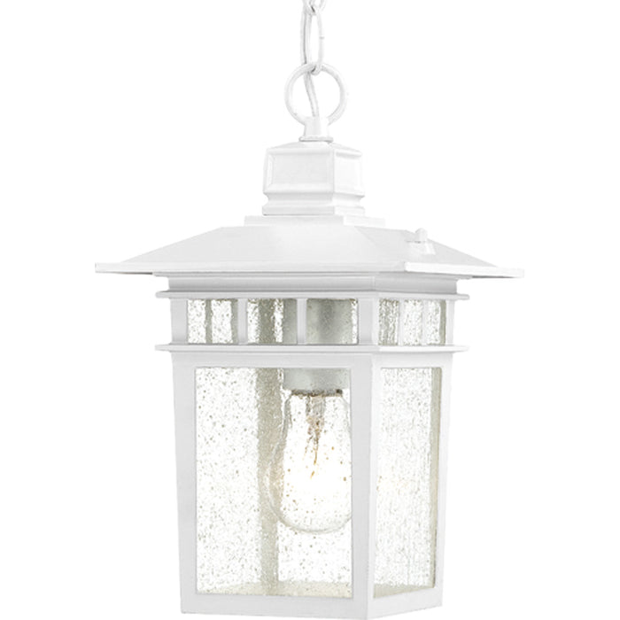 Myhouse Lighting Nuvo Lighting - 60-4954 - One Light Hanging Lantern - Cove Neck - White