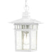 Myhouse Lighting Nuvo Lighting - 60-4954 - One Light Hanging Lantern - Cove Neck - White