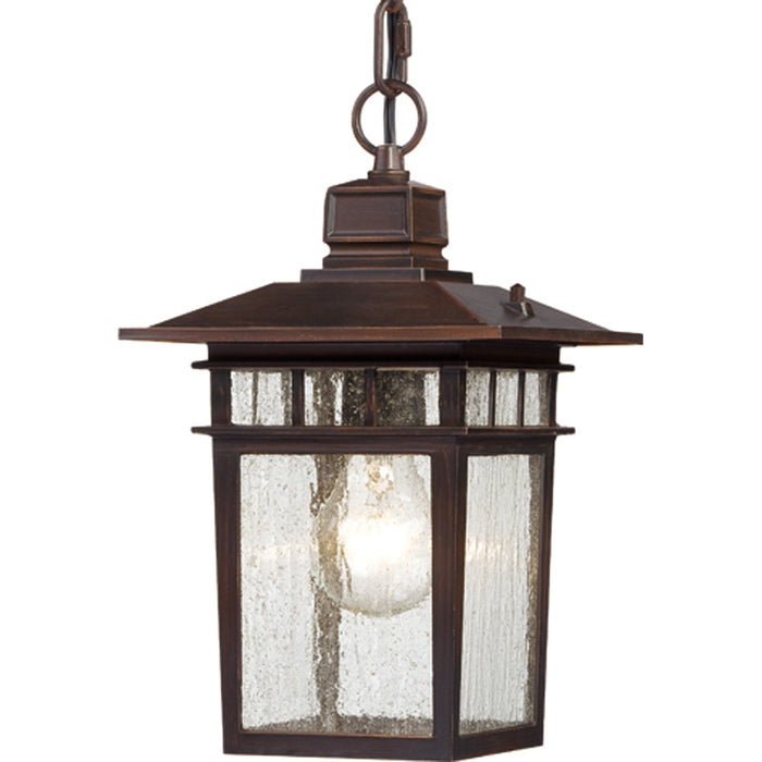 Myhouse Lighting Nuvo Lighting - 60-4955 - One Light Hanging Lantern - Cove Neck - Rustic Bronze