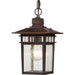 Myhouse Lighting Nuvo Lighting - 60-4955 - One Light Hanging Lantern - Cove Neck - Rustic Bronze