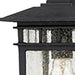 Myhouse Lighting Nuvo Lighting - 60-4956 - One Light Hanging Lantern - Cove Neck - Textured Black