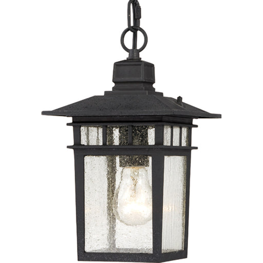 Myhouse Lighting Nuvo Lighting - 60-4956 - One Light Hanging Lantern - Cove Neck - Textured Black
