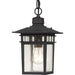 Myhouse Lighting Nuvo Lighting - 60-4956 - One Light Hanging Lantern - Cove Neck - Textured Black