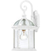 Myhouse Lighting Nuvo Lighting - 60-4961 - One Light Wall Lantern - Boxwood - White
