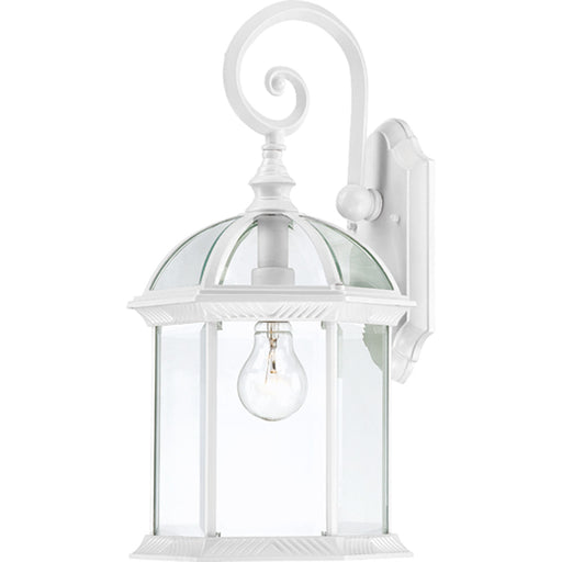 Myhouse Lighting Nuvo Lighting - 60-4964 - One Light Wall Lantern - Boxwood - White