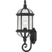 Myhouse Lighting Nuvo Lighting - 60-4973 - One Light Wall Lantern - Boxwood - Textured Black