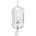 Myhouse Lighting Nuvo Lighting - 60-4974 - One Light Post Lantern - Boxwood - White