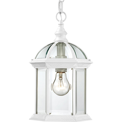 Myhouse Lighting Nuvo Lighting - 60-4977 - One Light Hanging Lantern - Boxwood - White