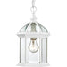 Myhouse Lighting Nuvo Lighting - 60-4977 - One Light Hanging Lantern - Boxwood - White