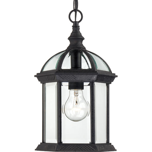 Myhouse Lighting Nuvo Lighting - 60-4979 - One Light Hanging Lantern - Boxwood - Textured Black