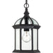 Myhouse Lighting Nuvo Lighting - 60-4979 - One Light Hanging Lantern - Boxwood - Textured Black