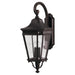 Myhouse Lighting Generation Lighting - OL5404GBZ - Three Light Outdoor Fixture - Cotswold Lane - Grecian Bronze