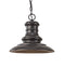 Myhouse Lighting Generation Lighting - OL8904RSZ - One Light Outdoor Pendant - Redding Station - Restoration Bronze