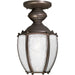 Myhouse Lighting Progress Lighting - P5565-20 - One Light Lantern - Roman Coach - Antique Bronze