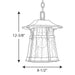 Myhouse Lighting Progress Lighting - P5579-84 - One Light Hanging Lantern - Derby - Espresso