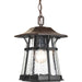 Myhouse Lighting Progress Lighting - P5579-84 - One Light Hanging Lantern - Derby - Espresso