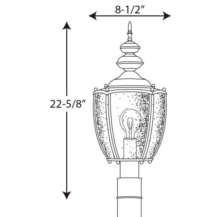 Myhouse Lighting Progress Lighting - P6417-20 - One Light Post Lantern - Roman Coach - Antique Bronze