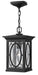 Myhouse Lighting Hinkley - 1492BK - LED Hanging Lantern - Randolph - Black